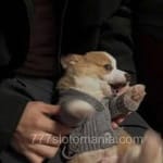 Avatar de Manuel Ortiz